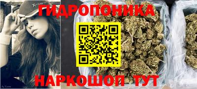 скорость Кимры