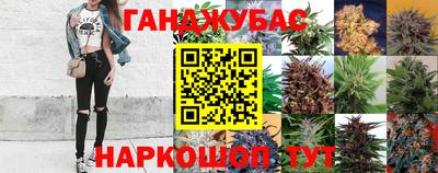 скорость Кимры