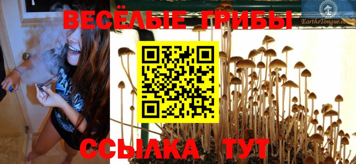Псилоцибиновые грибы MAGIC MUSHROOMS  купить   Красный Сулин  Вход с VPN 