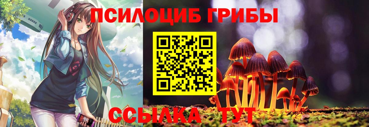 Псилоцибиновые грибы GOLDEN TEACHER Красный Сулин